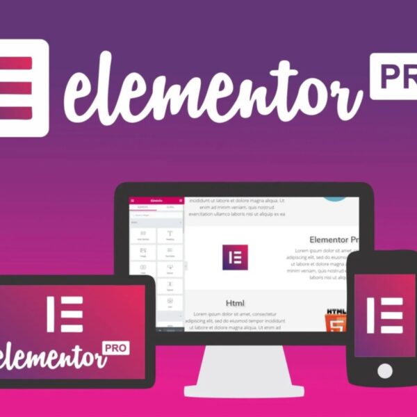 Ecommerce.com.gt Elementor PRO WordPress Page Builder